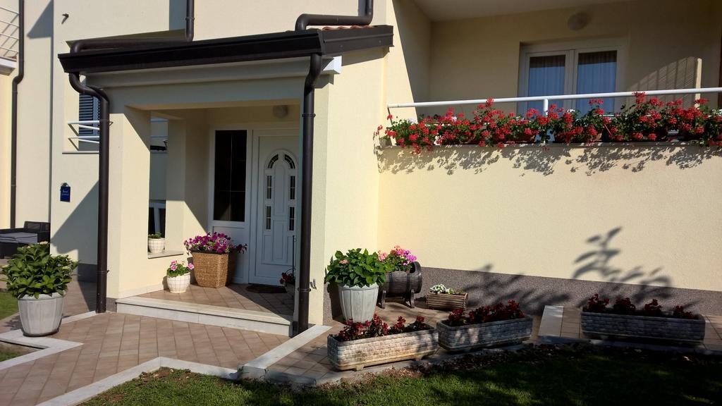 Apartmani Martincic Novigrad Istria Exterior foto